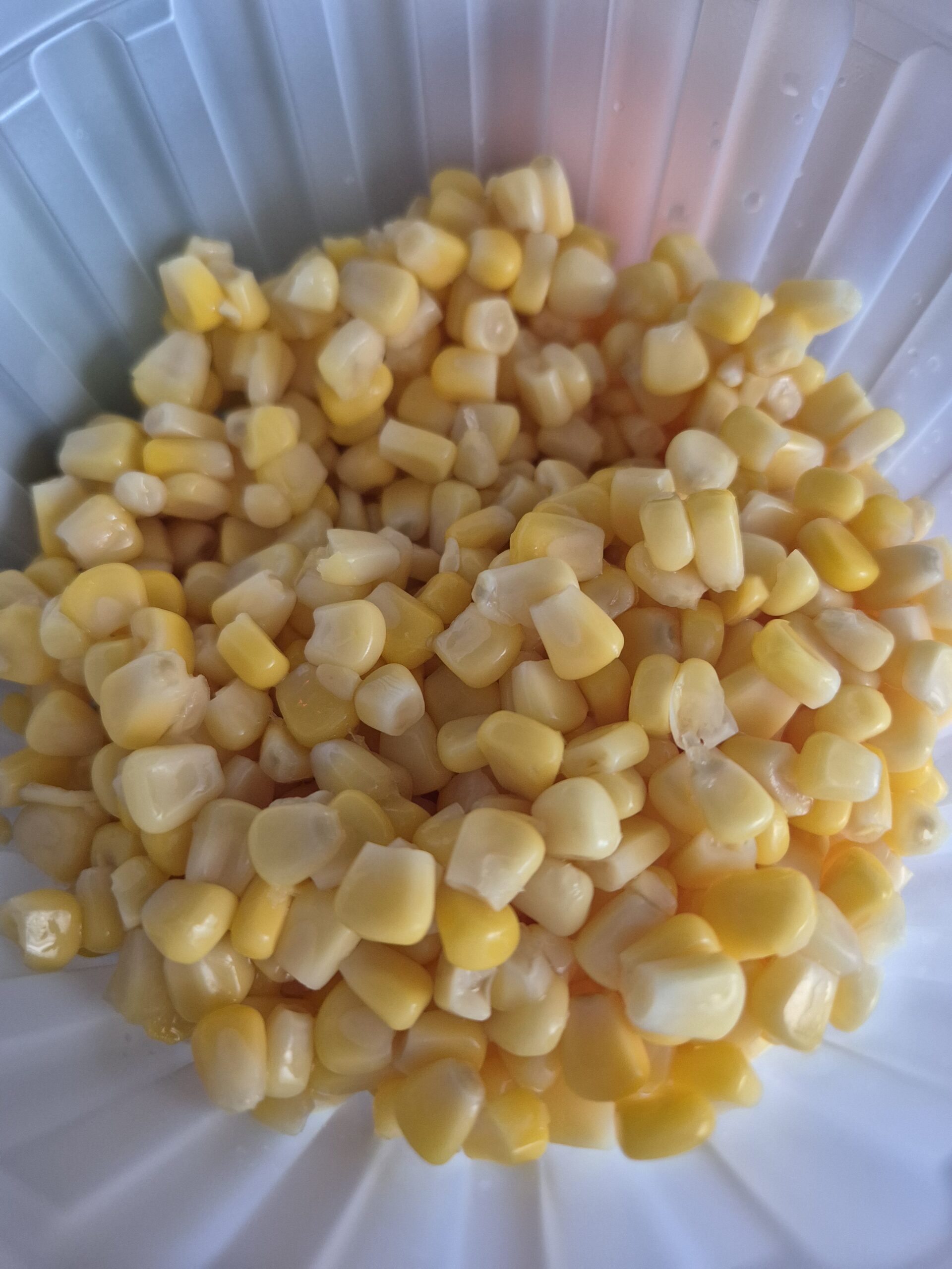 초간단한 스위트콘 보관법